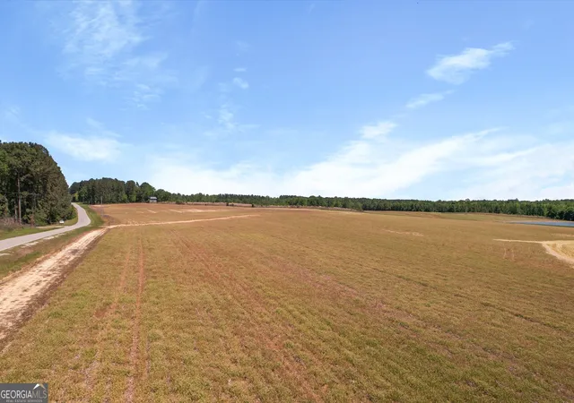 Photo 3 of House for sale at 0 Middleground Rd #TRACT 2, Statesboro, GA 30461 | MLS# 10724632 | Listing updated on 2026-08-29