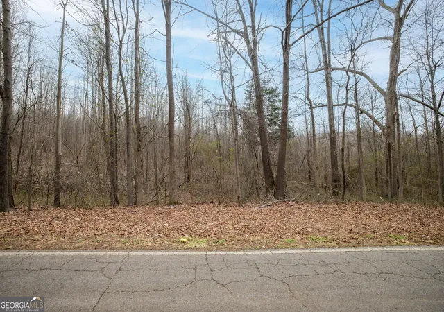 2nd image of 740 Broad River Church Rd Tract B, Eastanollee, GA 30538 | MLS# 10816495