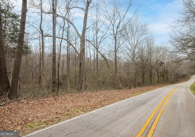 3rd image of 740 Broad River Church Rd Tract B, Eastanollee, GA 30538 | MLS# 10816495