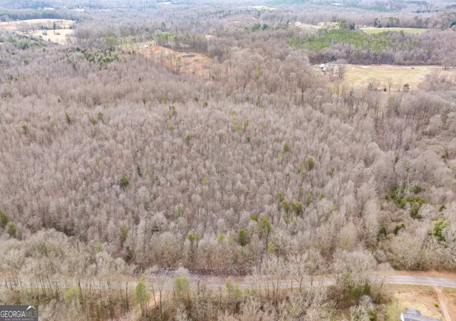 4th image of 740 Broad River Church Rd Tract B, Eastanollee, GA 30538 | MLS# 10816495