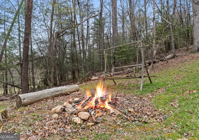 Homes for sale in Cherry Log, GA | 541 Black Ankle Creek Rd, Cherry Log, GA 30522 | MLS# 10729888