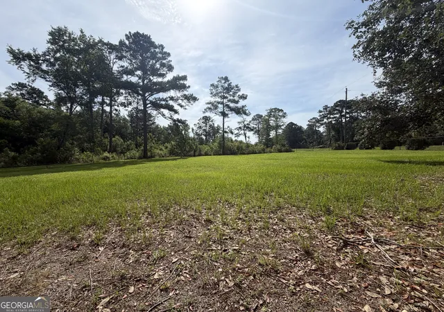 Photo 3 of Single family home for sale at 3919 Ga Hwy 152, Cobbtown, GA 30420 | MLS# 10735291 | Listing updated on 2026-08-21