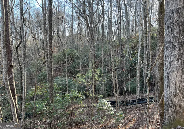 1st image of 0 Forest Canopy Wy #LOT 8, Clayton, GA 30525 | MLS# 10651686