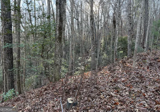 4th image of 0 Forest Canopy Wy #LOT 8, Clayton, GA 30525 | MLS# 10651686