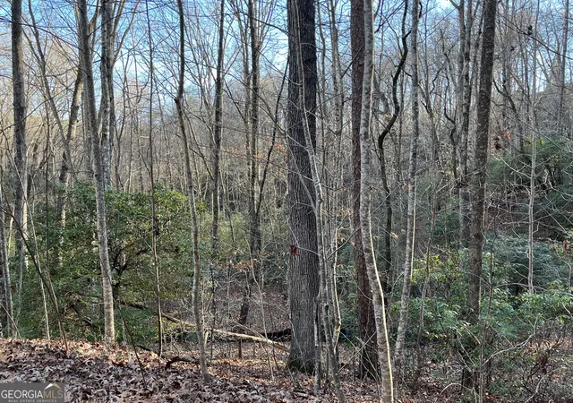 5th image of 0 Forest Canopy Wy #LOT 8, Clayton, GA 30525 | MLS# 10651686