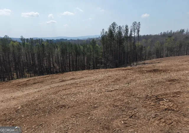 Homes for sale in Fairmount, GA | 0 Young Loop #7206 PARCEL C, Fairmount, GA 30139 | MLS# 10701396