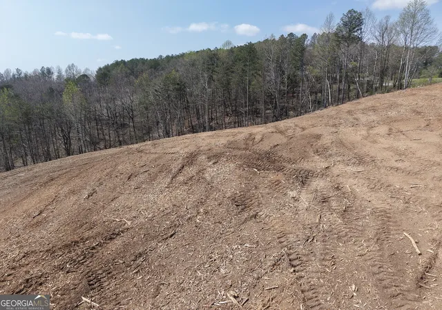3rd image of 0 Young Loop #7206 PARCEL C, Fairmount, GA 30139 | MLS# 10701396