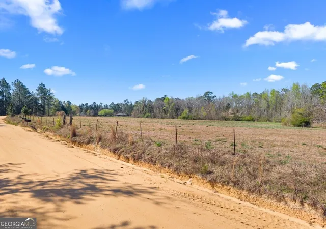 Homes for sale in Statesboro, GA | 0 Lester Fordham Rd, Statesboro, GA 30461 | MLS# 10792653