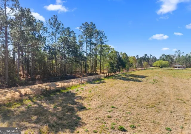 Homes for sale in Statesboro, GA | 0 Lester Fordham Rd, Statesboro, GA 30461 | MLS# 10792653