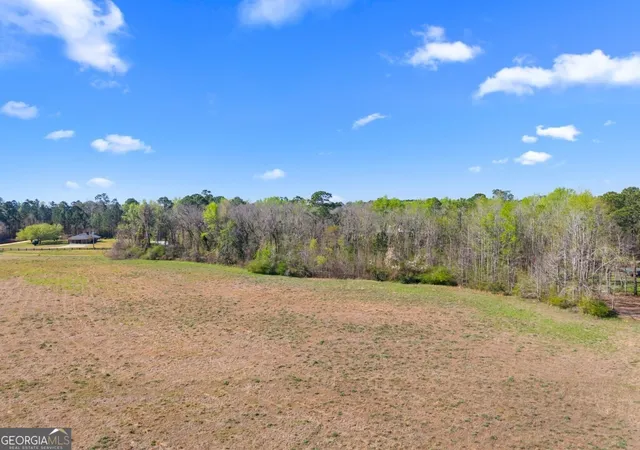 Homes for sale in Statesboro, GA | 0 Lester Fordham Rd, Statesboro, GA 30461 | MLS# 10792653