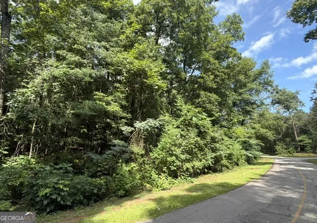 Photo 1 of Land for sale at 0 Alexander Way, Fort Valley, GA 31030 | MLS# 10799467 | Listing updated on 2026-07-20