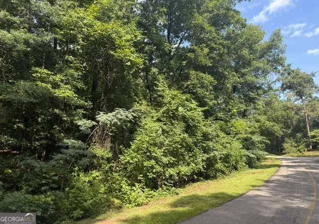 Photo 3 of Land for sale at 0 Alexander Way, Fort Valley, GA 31030 | MLS# 10799467 | Listing updated on 2026-09-23