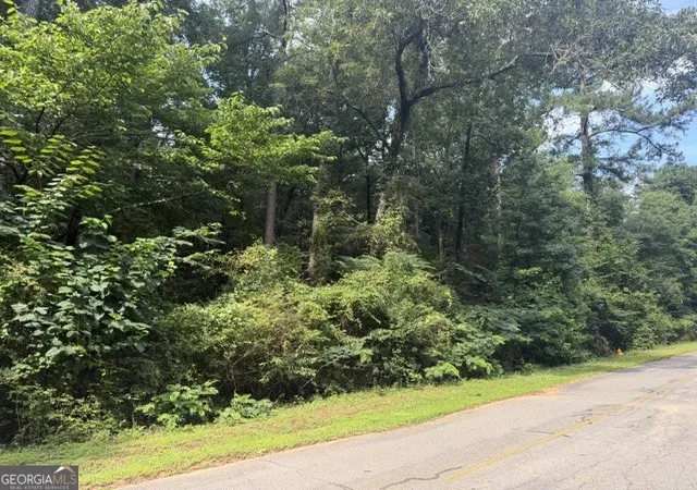 Photo 4 of Land for sale at 0 Alexander Way, Fort Valley, GA 31030 | MLS# 10799467 | Listing updated on 2026-07-20