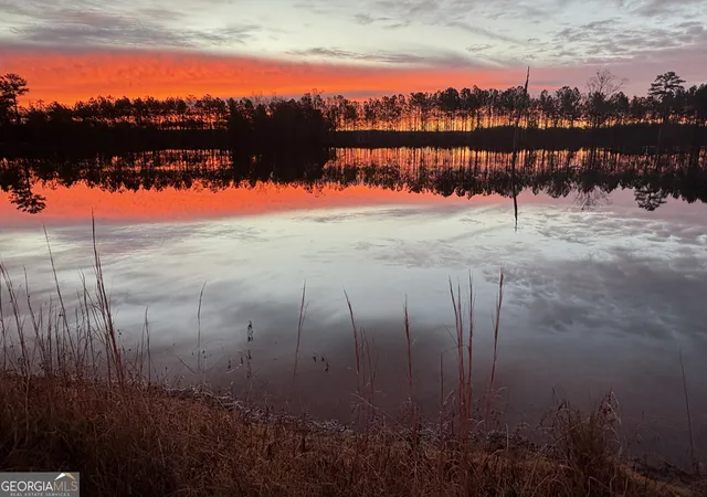 Photo 3 of Land for sale at 0 Sandy Crk Rd, Irwinton, GA 31042 | MLS# 10762041 | Listing updated on 2026-09-25