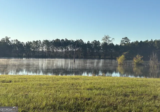 Photo 4 of Land for sale at 0 Sandy Crk Rd, Irwinton, GA 31042 | MLS# 10762041 | Listing updated on 2026-09-25