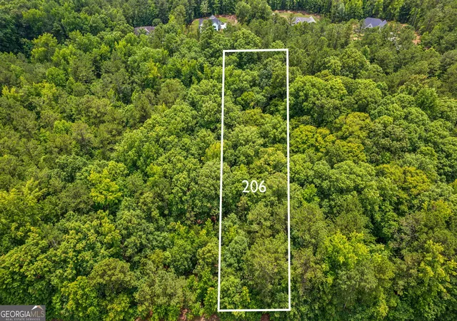 Photo 3 of Land for sale at 206 Crescent Dr, Forsyth, GA 31029 | MLS# 10331346 | Listing updated on 2026-07-22