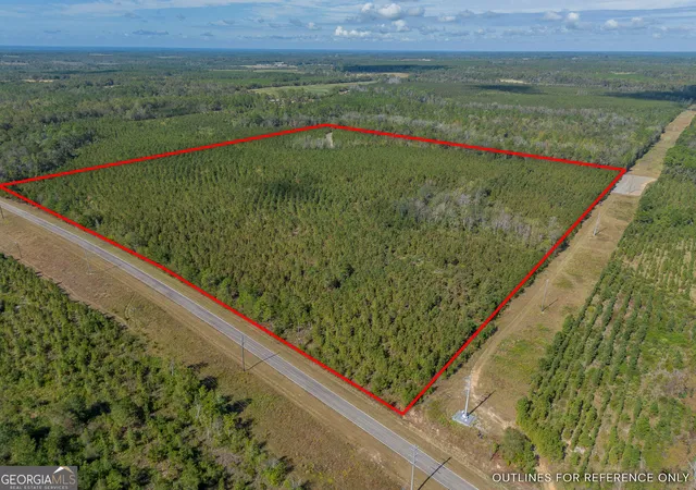 Photo 3 of Land for sale at Tract 2 Kinnett Rd, Jacksonville, GA 31544 | MLS# 10623127 | Listing updated on 2026-05-26
