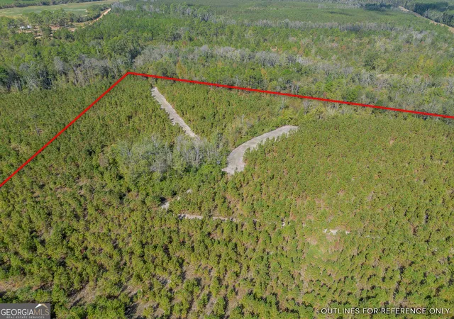 Photo 3 of House for sale at Tract 2 Kinnett Rd, Jacksonville, GA 31544 | MLS# 10623127 | Listing updated on 2026-05-26
