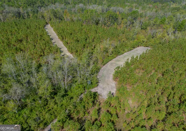 Photo 4 of House for sale at Tract 2 Kinnett Rd, Jacksonville, GA 31544 | MLS# 10623127 | Listing updated on 2026-05-26