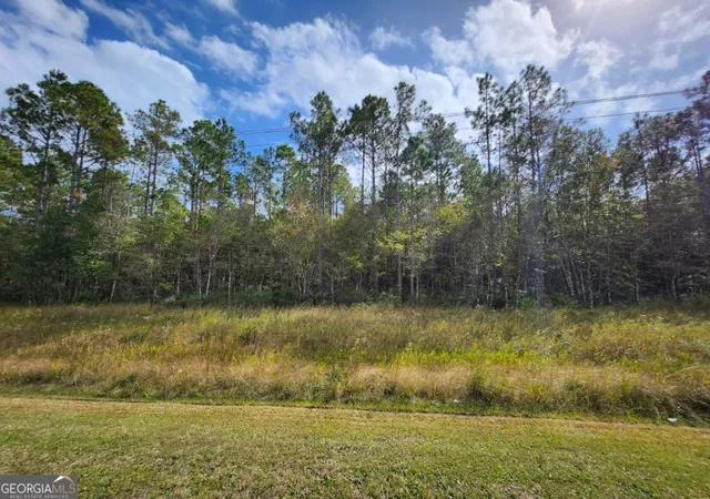 6th image of Lot 8 Kings Bay Rd, St. Marys, GA 31558 | MLS# 10632378