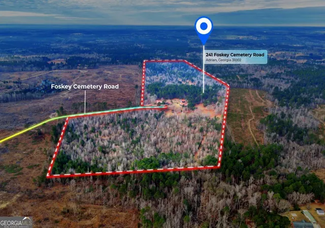 Homes for sale in Adrian, GA | 241 Foskey Cemetary Rd, Adrian, GA 31002 | MLS# 10754658