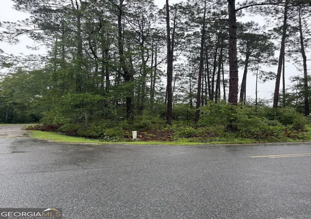 Photo 2 of Land for sale at 30 Gibson St, Nahunta, GA 31553 | MLS# 10789811 | Listing updated on 2026-07-03