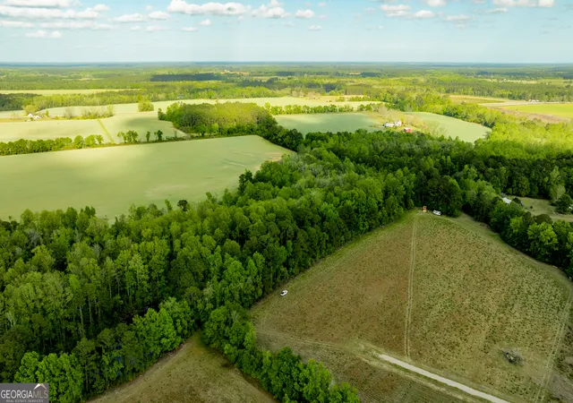 3rd image of Lot 3 - Siesta Lane, Statesboro, GA 30458 | MLS# 10727146