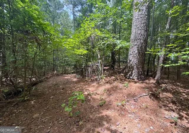 Photo 3 of Land for sale at 0 Highway 72 W, Hull, GA 30646 | MLS# 10812965 | Listing updated on 2026-08-08