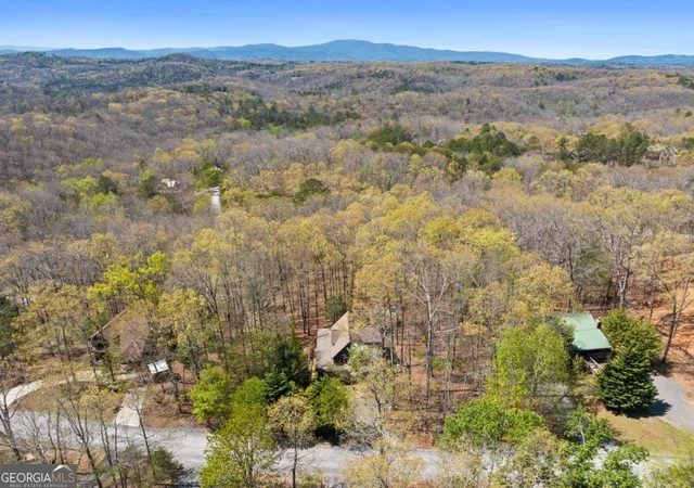 Photo 4 of Single family home for sale at 236 Logan Dr #24, Mineral Bluff, GA 30559 | MLS# 10792001 | Listing updated on 2026-09-27