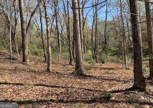 Photo 2 of Land for sale at 0 Townview Dr, Cleveland, GA 30528 | MLS# 10495967 | Listing updated on 2026-10-04