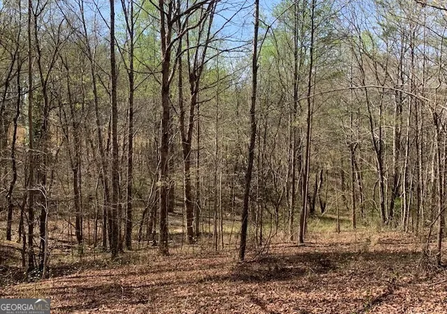 Photo 3 of Land for sale at 0 Townview Dr, Cleveland, GA 30528 | MLS# 10495967 | Listing updated on 2026-10-04