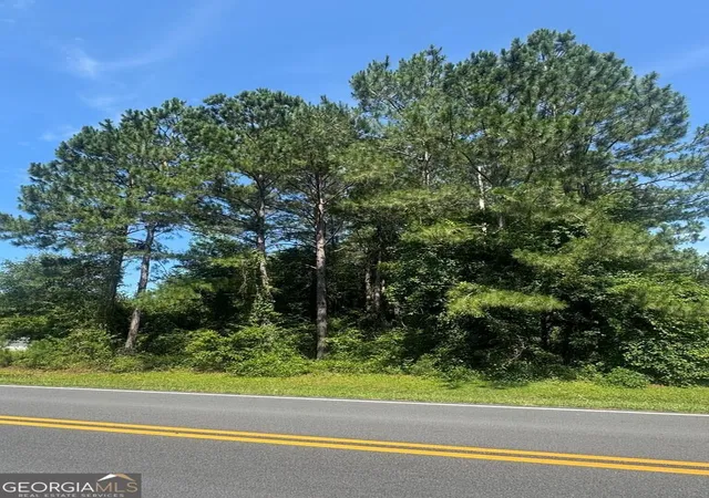 3rd image of 00 Payne Rd, Rentz, GA 31075 | MLS# 10817532