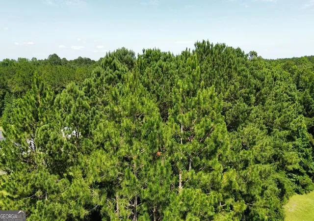 4th image of 00 Payne Rd, Rentz, GA 31075 | MLS# 10817532