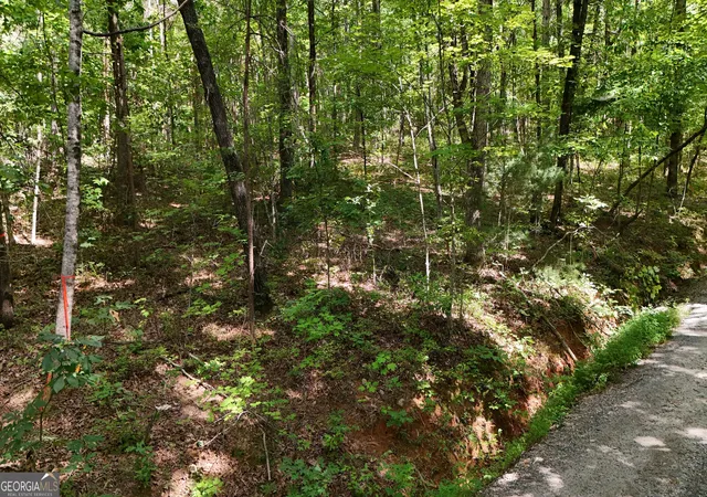 2nd image of Lot 183 Hillside Dr, Clarkesville, GA 30523 | MLS# 10830116