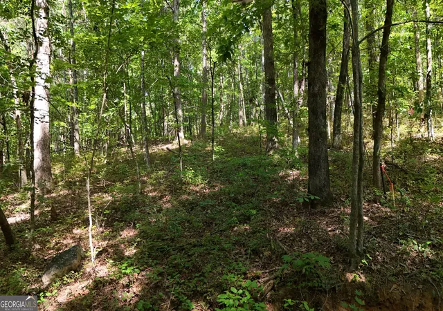 3rd image of Lot 183 Hillside Dr, Clarkesville, GA 30523 | MLS# 10830116