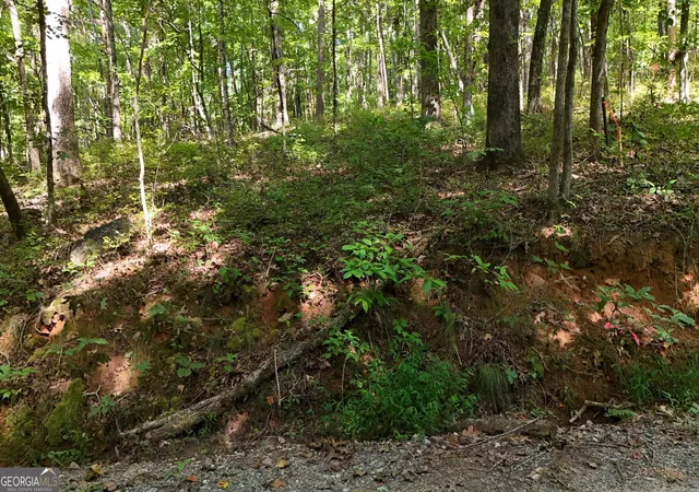 4th image of Lot 183 Hillside Dr, Clarkesville, GA 30523 | MLS# 10830116