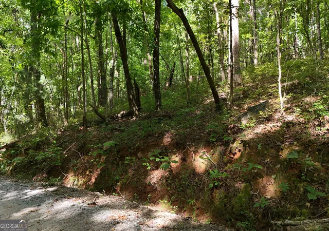 5th image of Lot 183 Hillside Dr, Clarkesville, GA 30523 | MLS# 10830116