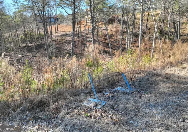 Homes for sale in Mineral Bluff, GA | Lot 16 Mountain Laurel Rdg, Mineral Bluff, GA 30559 | MLS# 10799011