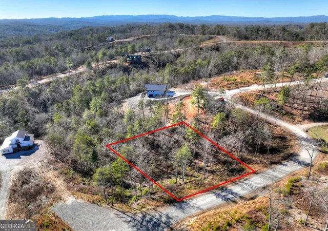 Homes for sale in Mineral Bluff, GA | Lot 16 Mountain Laurel Rdg, Mineral Bluff, GA 30559 | MLS# 10799011