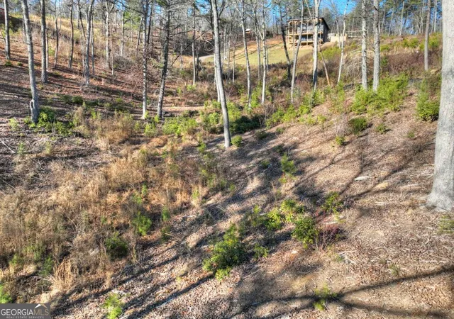 Homes for sale in Mineral Bluff, GA | Lot 16 Mountain Laurel Rdg, Mineral Bluff, GA 30559 | MLS# 10799011