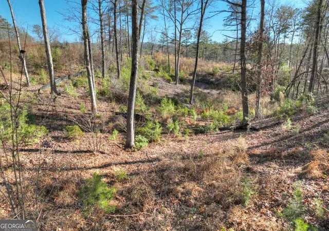 Photo 3 of Land for sale at Lot 16 Mountain Laurel Ridge, Blue Ridge, GA 30513 | MLS# 10799011 | Listing updated on 2026-07-18