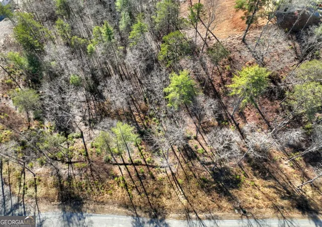 Photo 3 of Land for sale at Lot 16 Mountain Laurel Ridge, Blue Ridge, GA 30513 | MLS# 10799011 | Listing updated on 2026-07-18