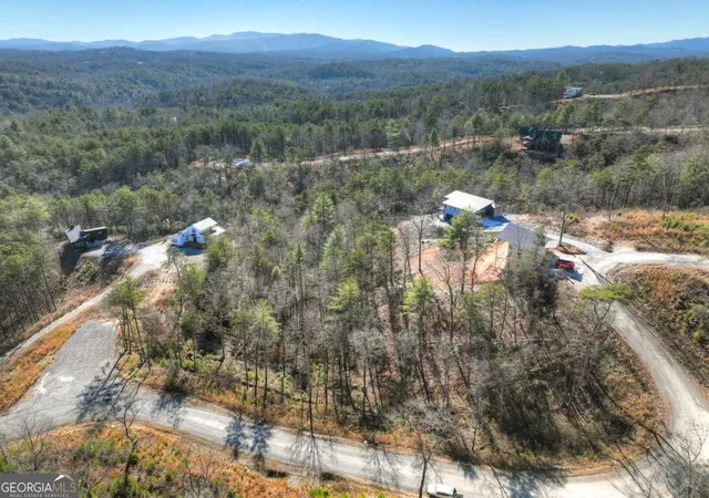 Photo 4 of Land for sale at Lot 16 Mountain Laurel Ridge, Blue Ridge, GA 30513 | MLS# 10799011 | Listing updated on 2026-07-18