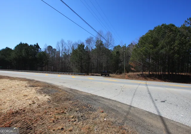 Homes for sale in Tallapoosa, GA | 0 Hwy 100, Tallapoosa, GA 30176 | MLS# 10465102