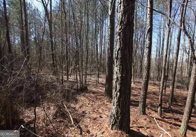 Homes for sale in Tallapoosa, GA | 0 Hwy 100, Tallapoosa, GA 30176 | MLS# 10465102