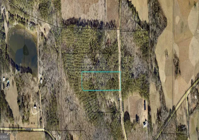 Homes for sale in Zebulon, GA | Tract 2 Bolton Rd, Zebulon, GA 30295 | MLS# 10800657