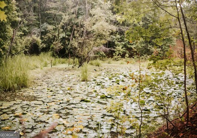 Photo 4 of Land for sale at 104 Lo Valley Dr, Eatonton, GA 31024 | MLS# 10798434 | Listing updated on 2026-09-17