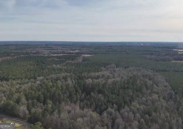 Homes for sale in Sylvania, GA | 9 Country Club Rd #LOT 9, Sylvania, GA 30467 | MLS# 10755812