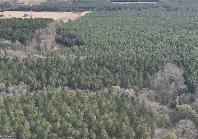 Homes for sale in Sylvania, GA | 9 Country Club Rd #LOT 9, Sylvania, GA 30467 | MLS# 10755812