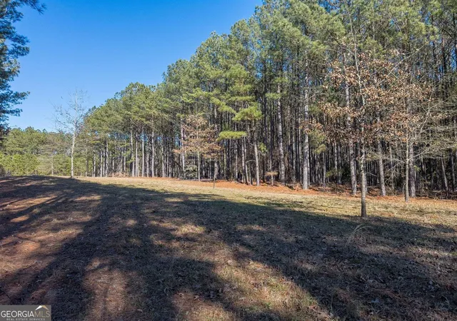 3rd image of 1250 Rogers Rd, Tignall, GA 30668 | MLS# 10823917